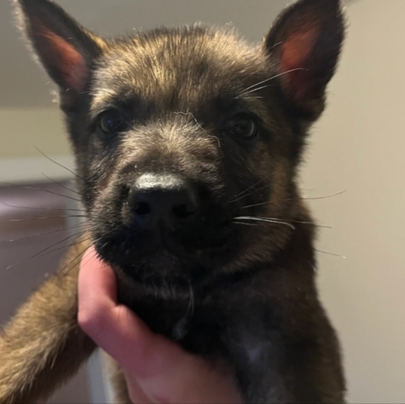 Meet your Posher, Tricia - Picture 7 of 7